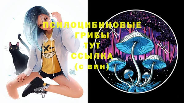 каннабис Арсеньев
