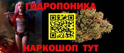 наркотики Гай