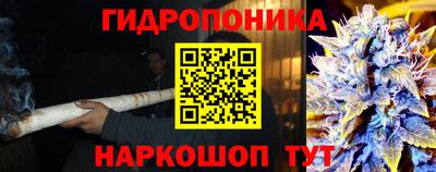 наркотики Гай
