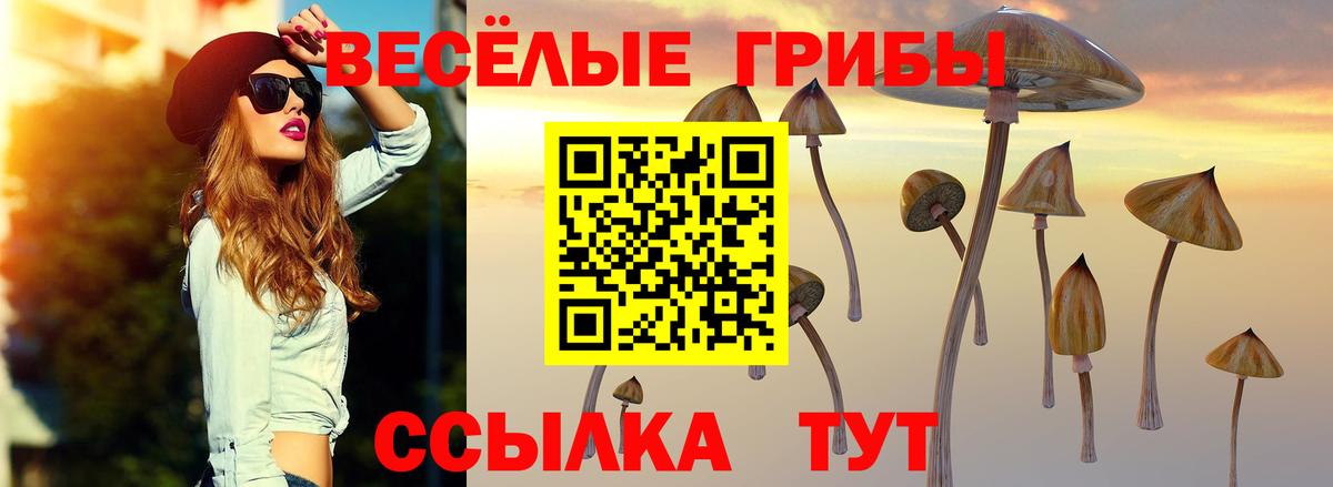 Галлюциногенные грибы GOLDEN TEACHER  Галлюциногенные грибы Psilocybe  Вход с VPN  Можга 
